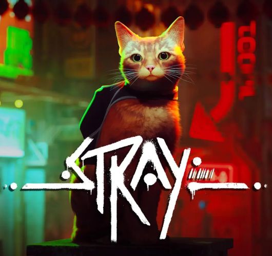 Stray Review