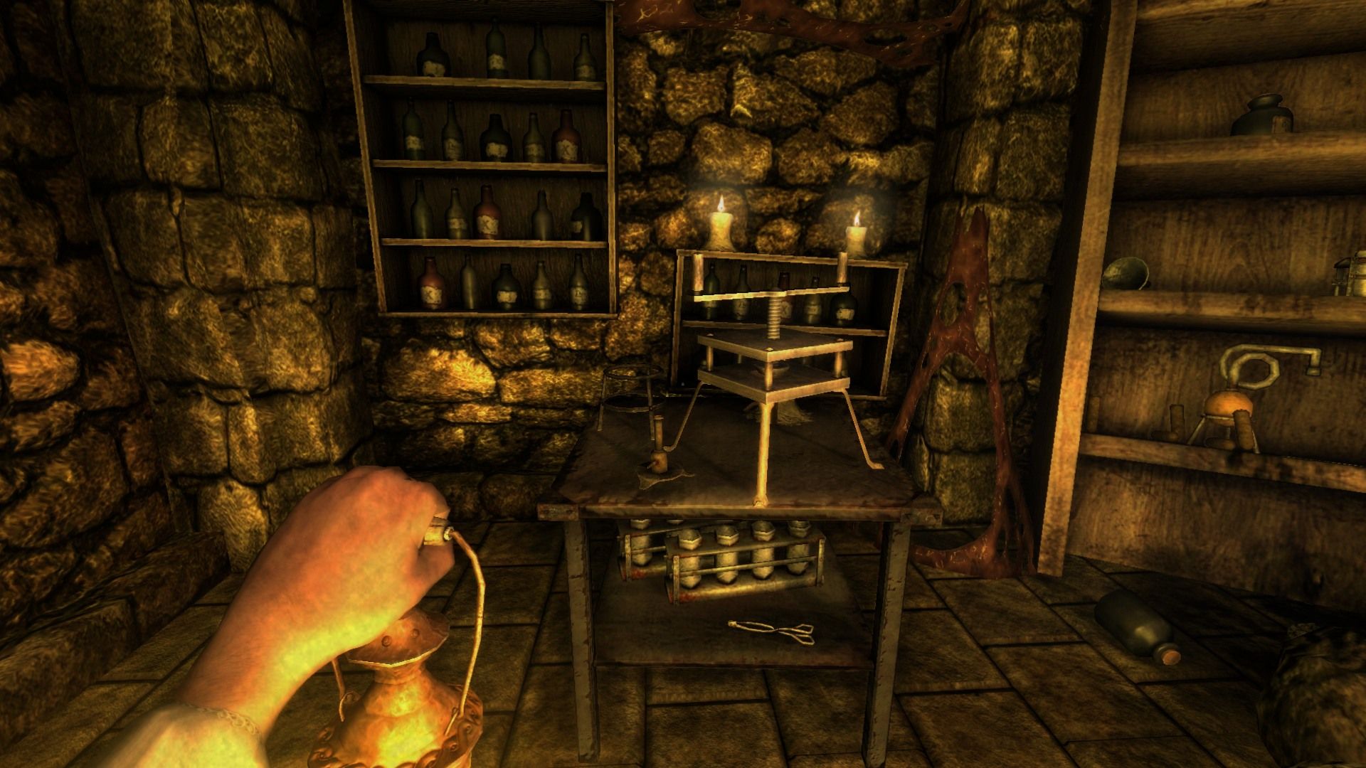 Amnesia Screenshots