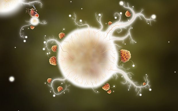 Botanicula PC Screenshots