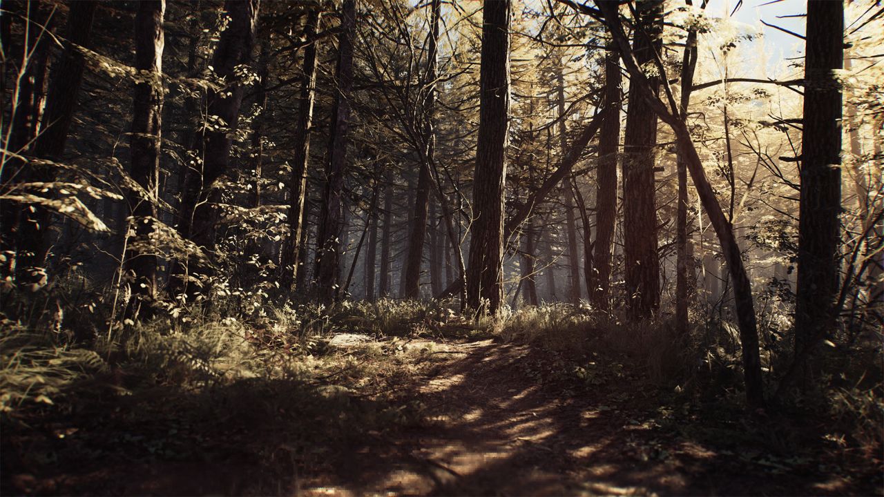Blair Witch screenshots