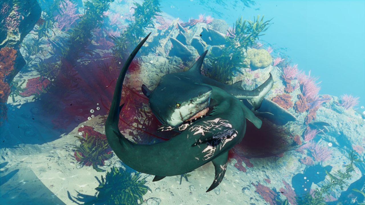 Maneater screenshots
