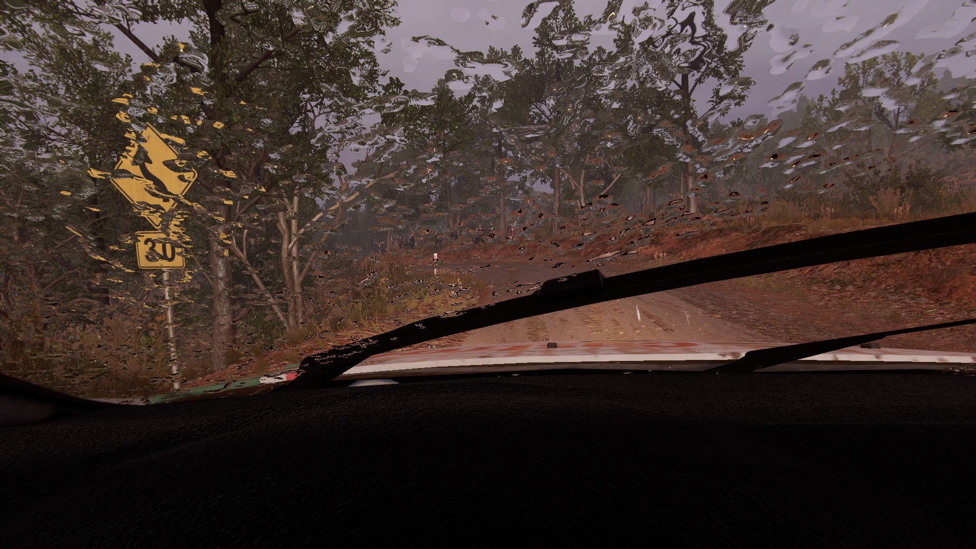 DiRT4