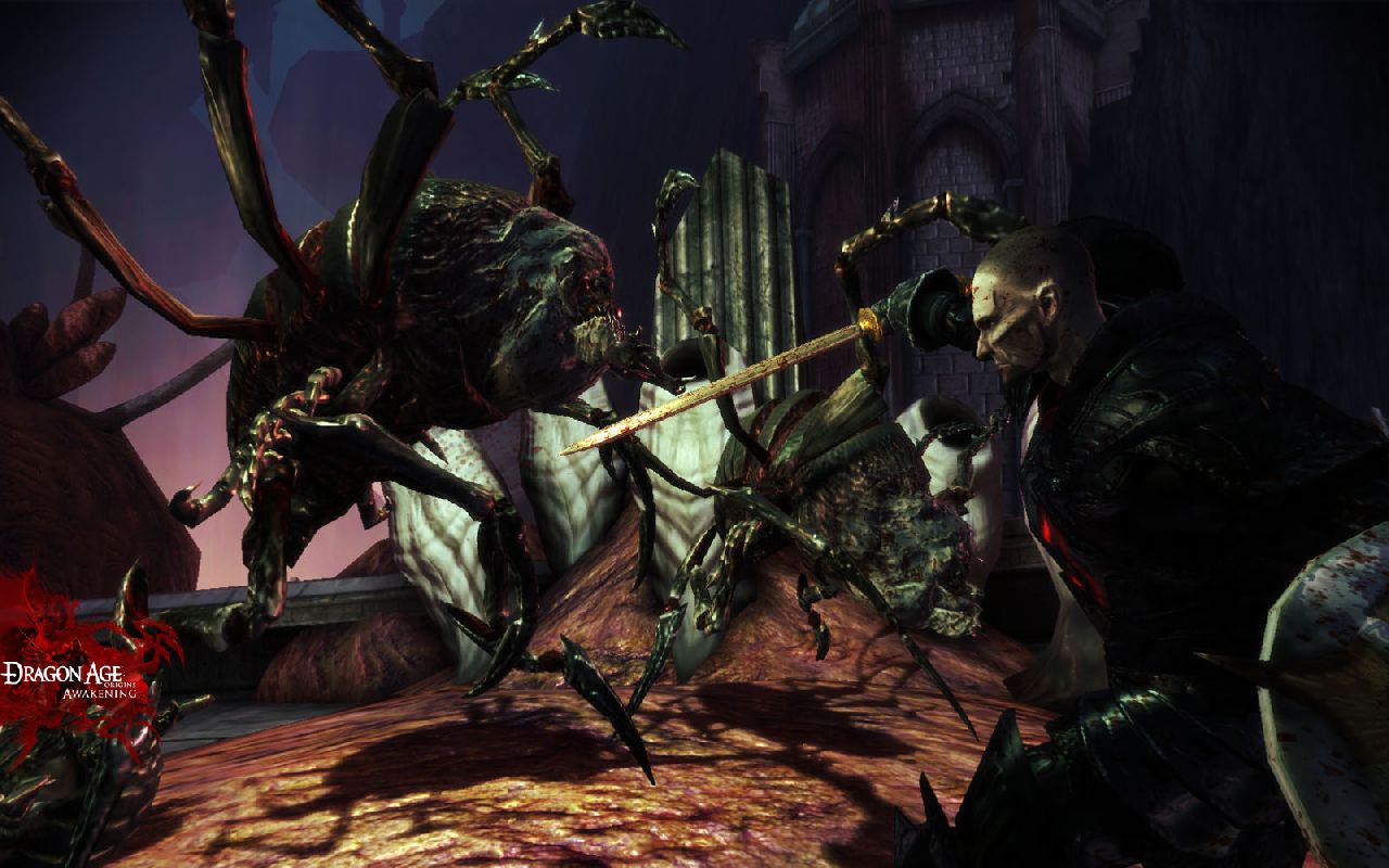 Dragon Age Awakening screens - Image #3069