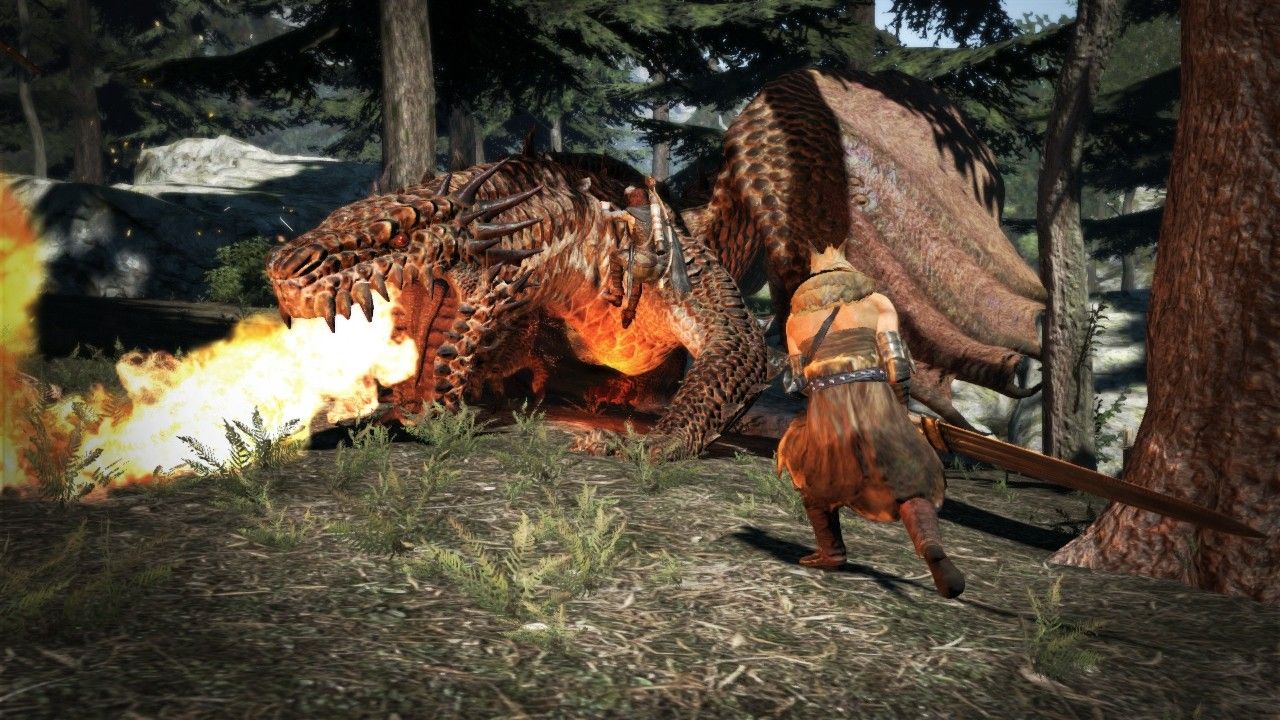 Drake Dragon's Dogma 2 vs Dark Arisen. : r/DragonsDogma