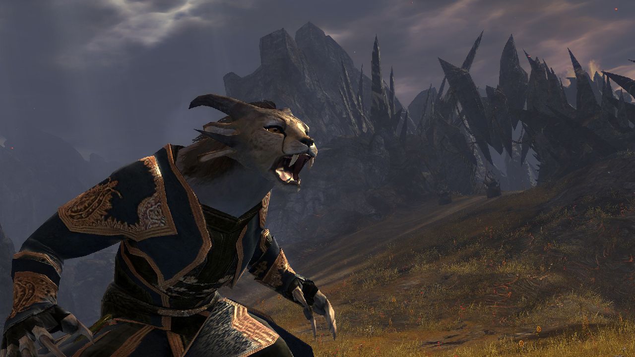 Guild Wars 2