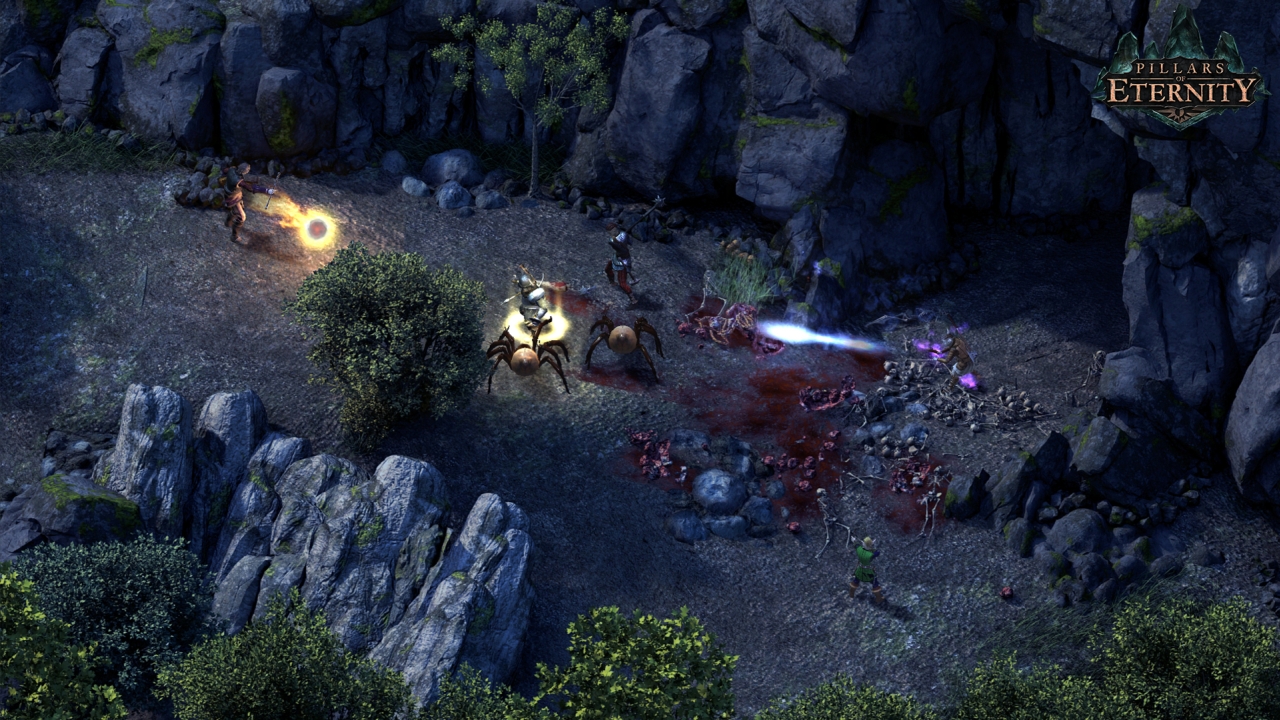 Pillars of Eternity Review | New Game Network