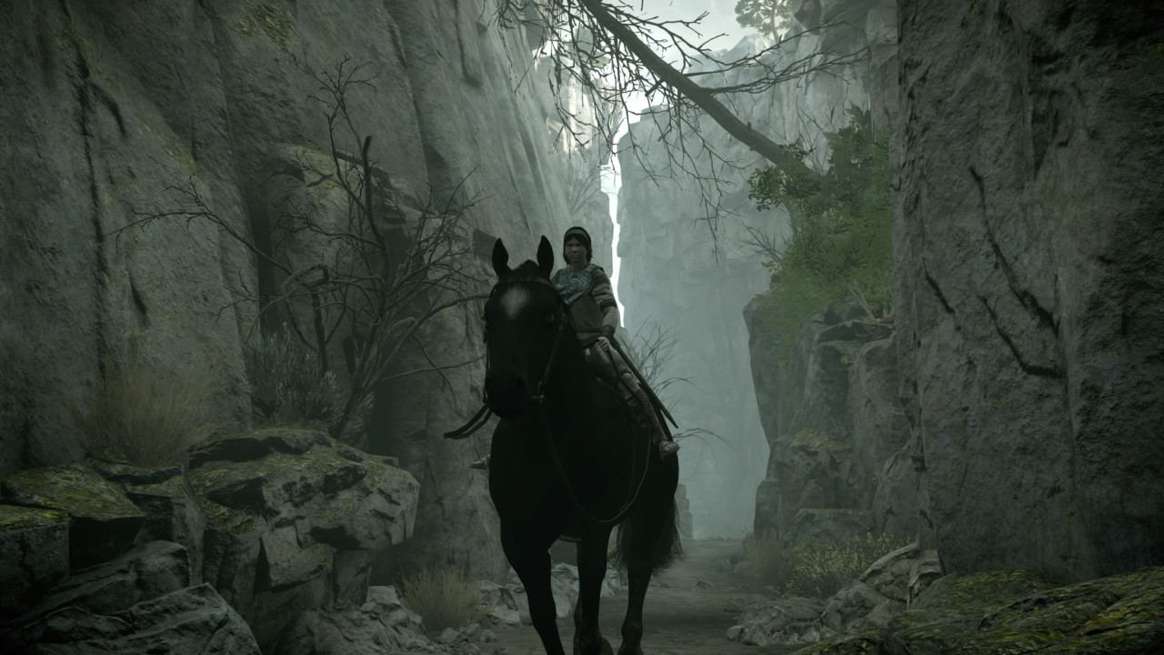 Shadow Of The Colossus Screenshots Image 22380 New Game Network