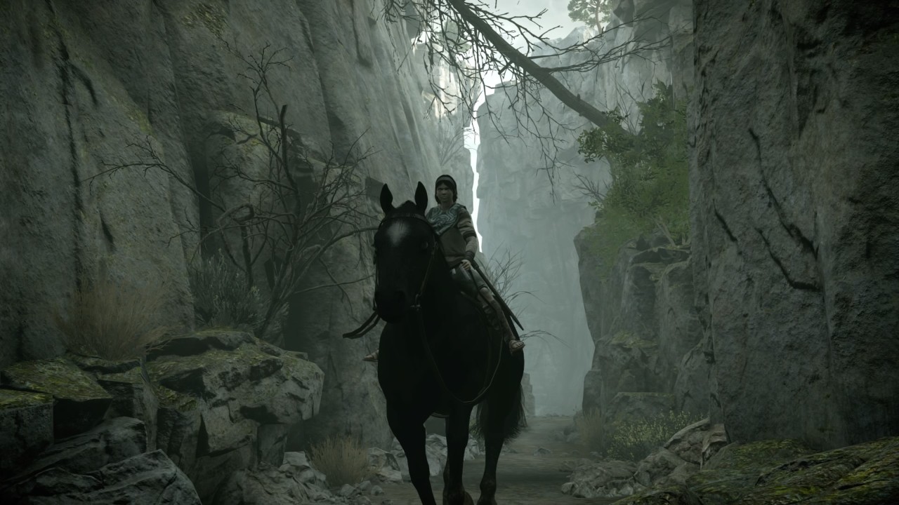 Shadow of the Colossus PS4