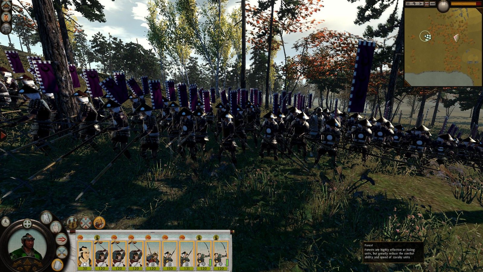 Total War: Shogun 2