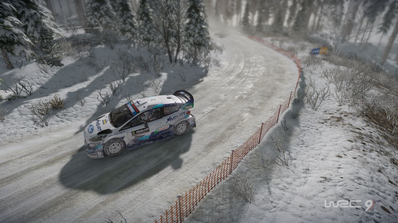 WRC 10 game