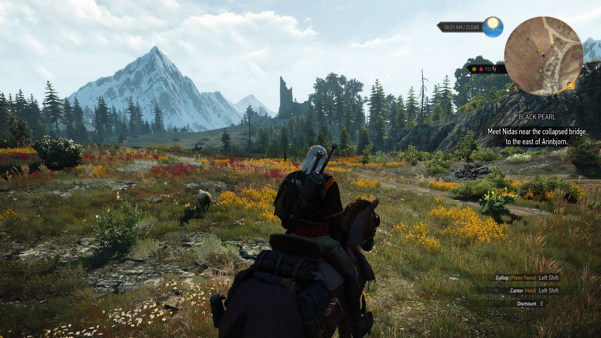 The Witcher 3