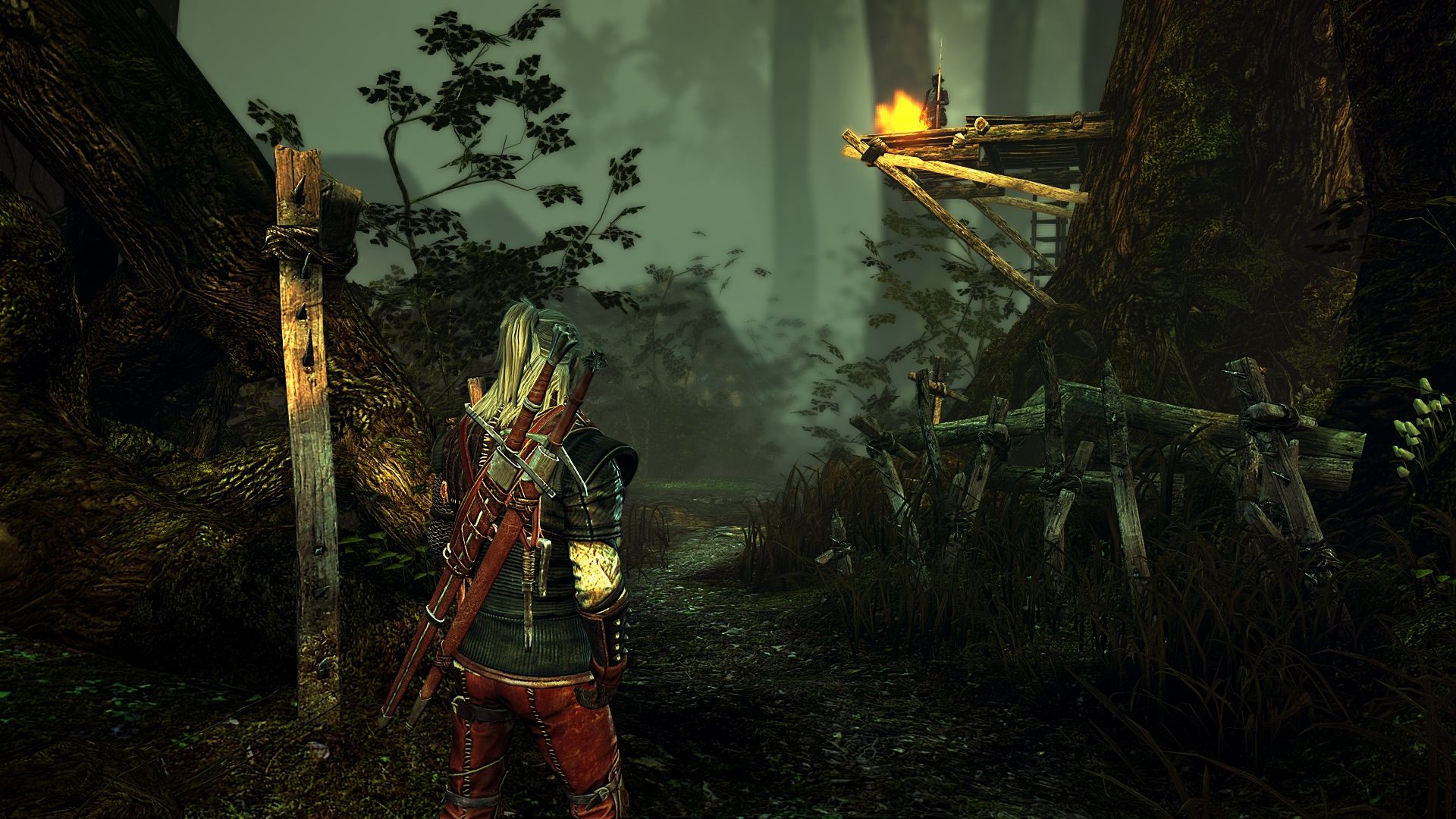 The Witcher 2