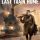 Last Train Home Review
