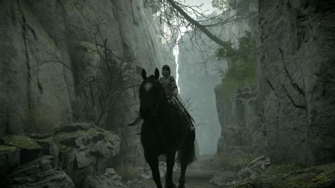 Shadow of the Colossus on PS4 is a complete remake, with optional new  controls - Polygon