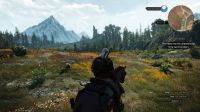 witcher 3 wild hunt game