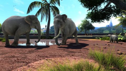 Zoo Tycoon Review