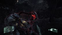 Crysis 2