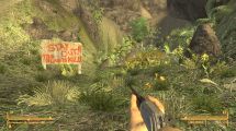 Fallout: New Vegas 