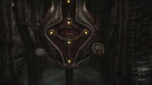 Scorn
