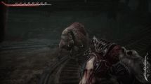 Scorn
