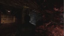 Silent Hill: Downpour