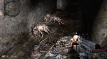 S.T.A.L.K.E.R.: Call of Pripyat