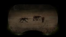 S.T.A.L.K.E.R.: Call of Pripyat