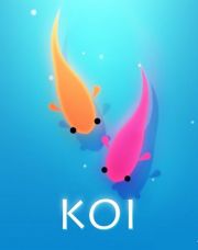 Koi box art