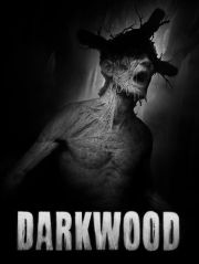 Darkwood box art